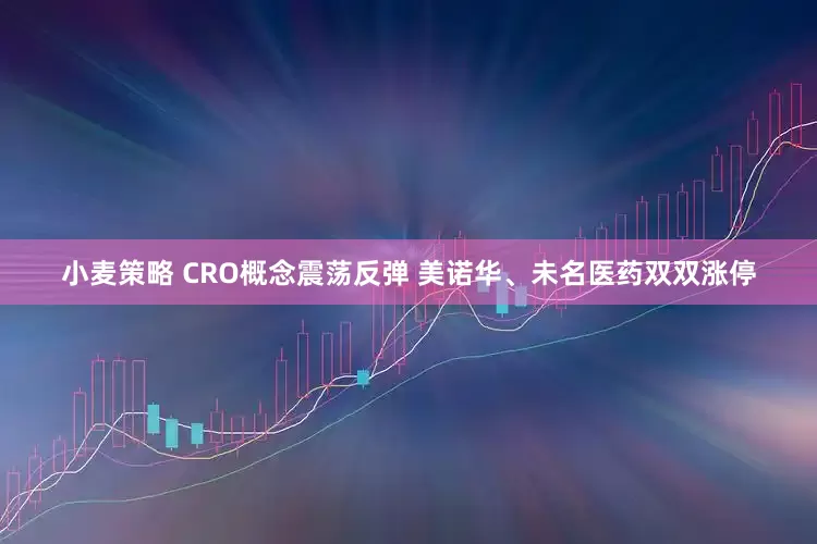 小麦策略 CRO概念震荡反弹 美诺华、未名医药双双涨停