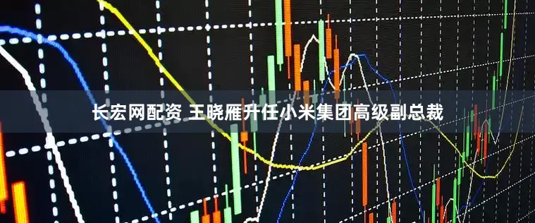 长宏网配资 王晓雁升任小米集团高级副总裁