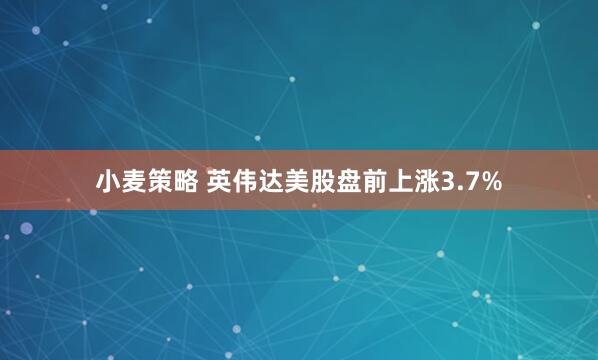 小麦策略 英伟达美股盘前上涨3.7%
