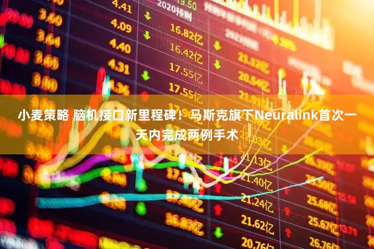 小麦策略 脑机接口新里程碑！马斯克旗下Neuralink首次一天内完成两例手术
